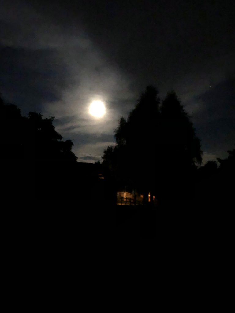 een vreemd licht in de ogen