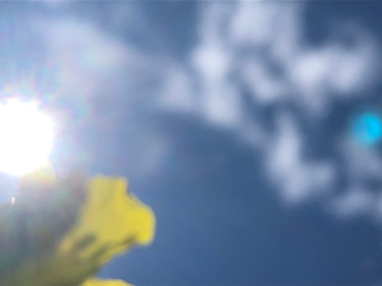 elke vis ontzout de zee in zichzelf